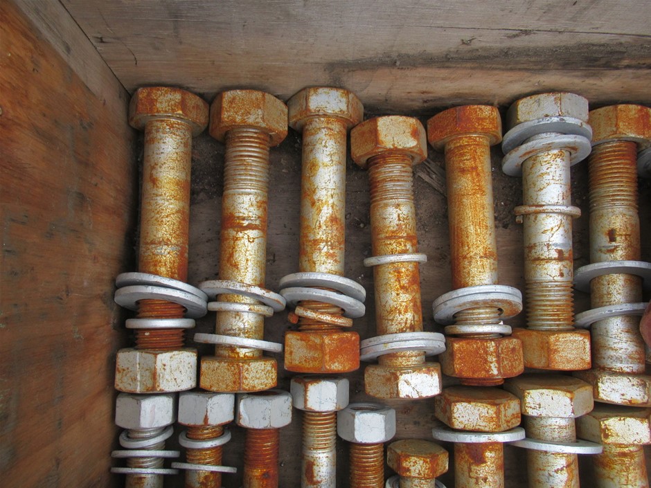 Pioneers First Patch Tempranillo 2024 (12x 750mL) SA