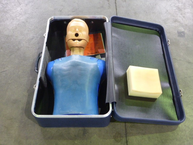 Abbott's Cove Sauvignon Blanc 2024 (6x 750mL) Marlborough