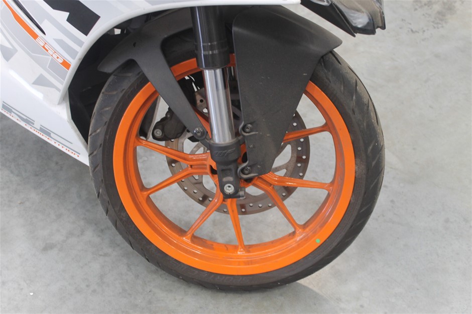 Casella Limited Release Cleanskin Shiraz 2013 (12x 750mL) Limstone Coast