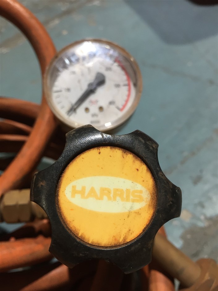 18K Gold-Filled Cuban Link Chain Bracelet, 8MM Wide - 20.3cm