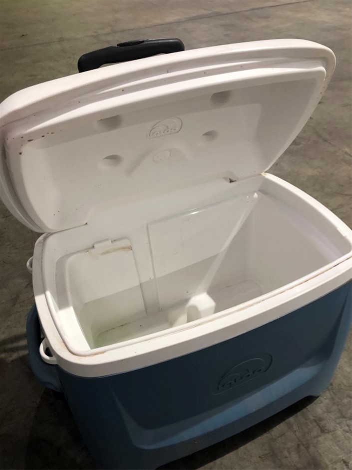 PRIME-LINE Products P 8127 Screen Retainer Spline.180-in, Foam, Black, 500-