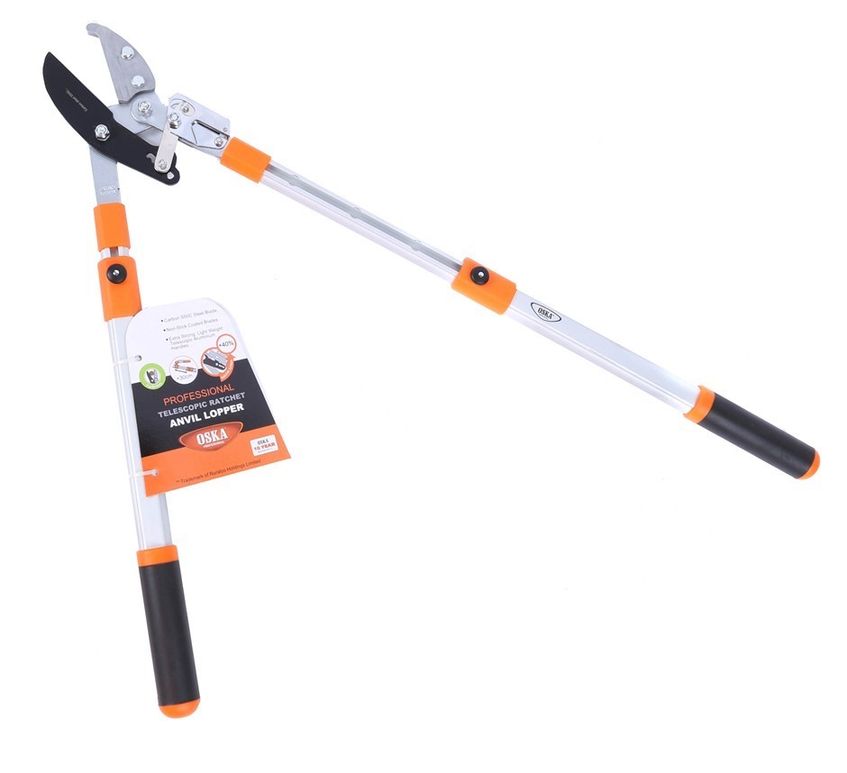 Wolf Blass Red Label Sauvignon Blanc (6x 750mL). Current Vintage Release.