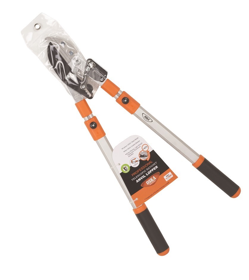 Wolf Blass Red Label Semillon Sauvignon Banc (6x 750mL)