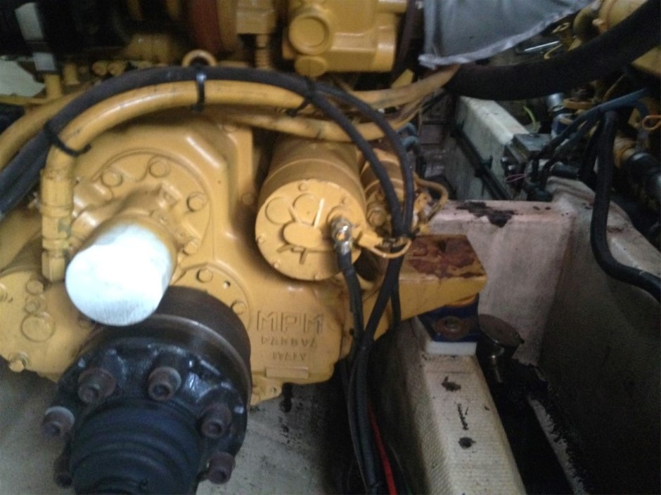 Vial full of Gold Leaf/Flake