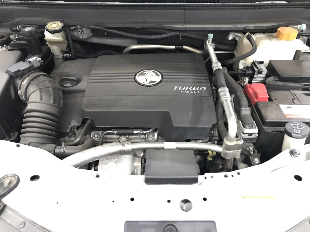 BULK, Collection, Aust Pre decimal, 500 x 1 Penny Roos, mixed GVI and QEII