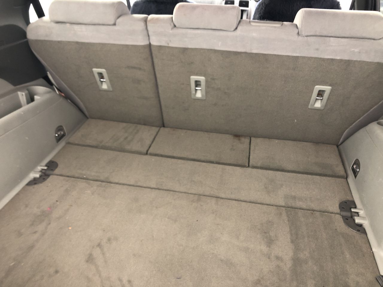 NEW!! LIMITED 2024 BLUEY DOLLARBUCK & BINGO $1 DOLLAR UNC Coin 2 CARD SET