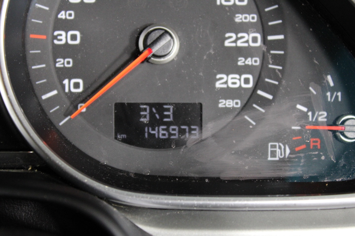 24" Sea Shell Pearl Necklace