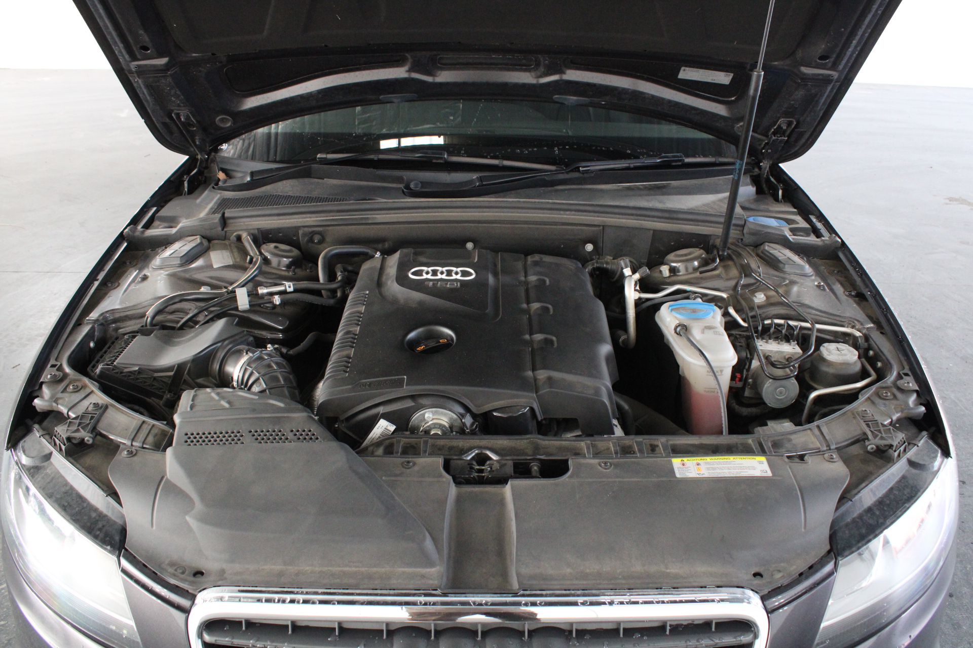 Quantity of 200 1650mm Star Pickets (Unused)