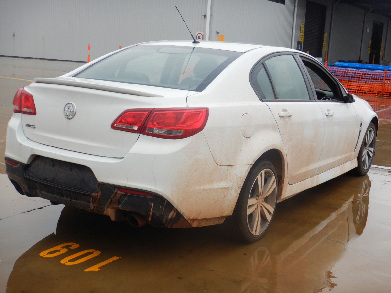 NEW!! LIMITED 2024 BLUEY DOLLARBUCK & BINGO $1 DOLLAR UNC Coin 2 CARD SET