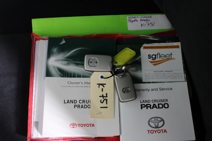 2.65 Carat Natural white diamond various cut & shape Bulk