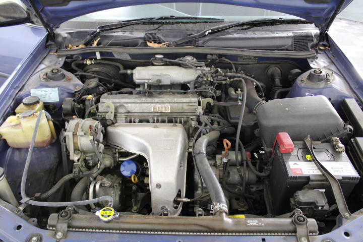 18ct Heavy Rose Gold Plated 7 Ring Lucky Charm Necklace