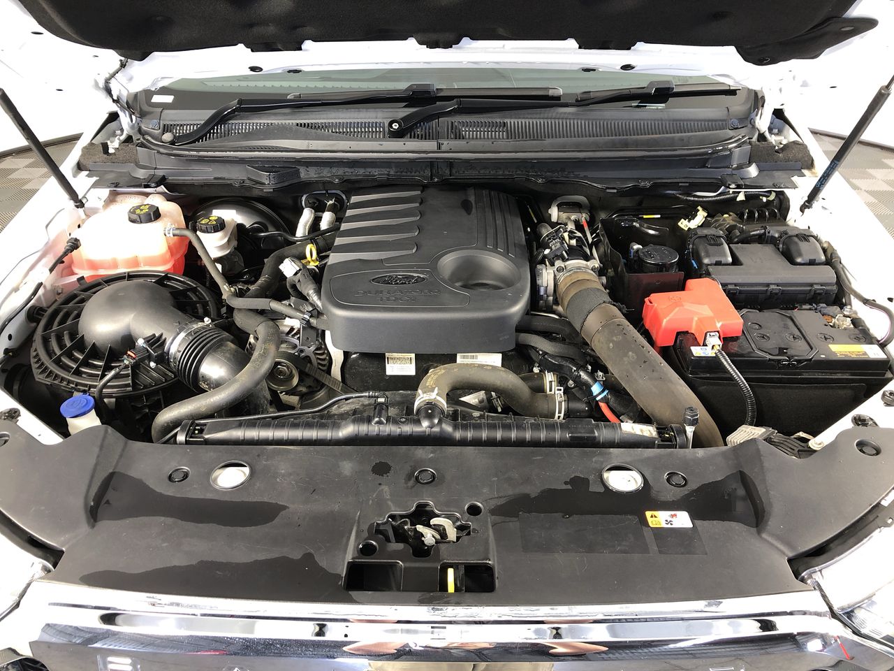 SHIRAHOSHI OP12-102 SR RPA 10 PRISTINE