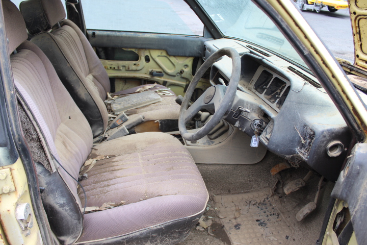 hop's trevenant 204/193 AR Japanese