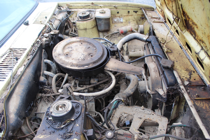 2023 Pokémon Miraidon ex 253/198 Hyper Rare PSA 6