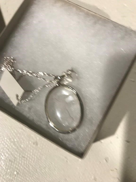 1/10 Oz 999.5 Silver Red Kangaroo & Joey 2025 Australian Bullion