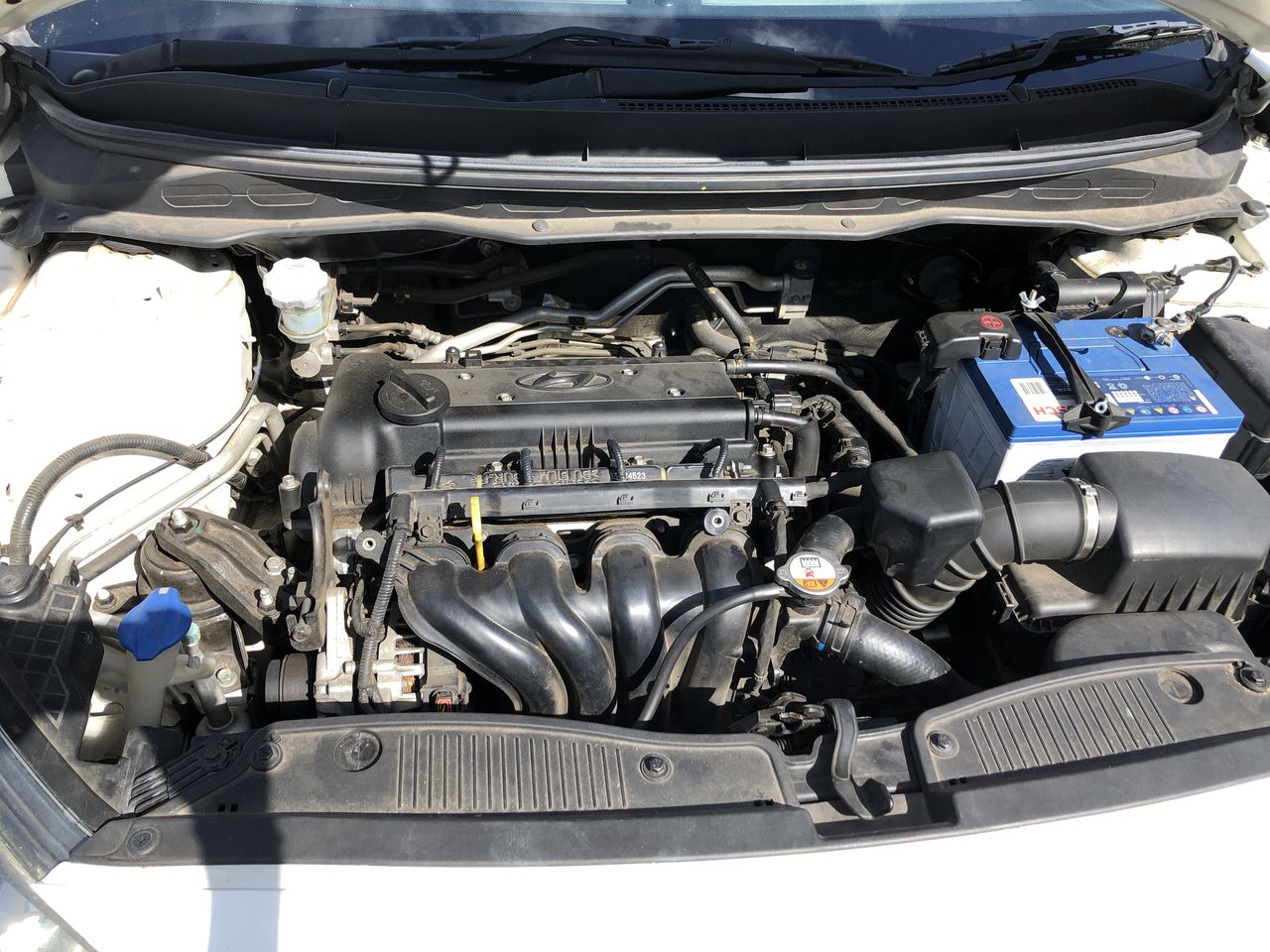 2014 Set of 8 x 5 g Certified "Aust Animal Series" Finished 999 24 k Gold