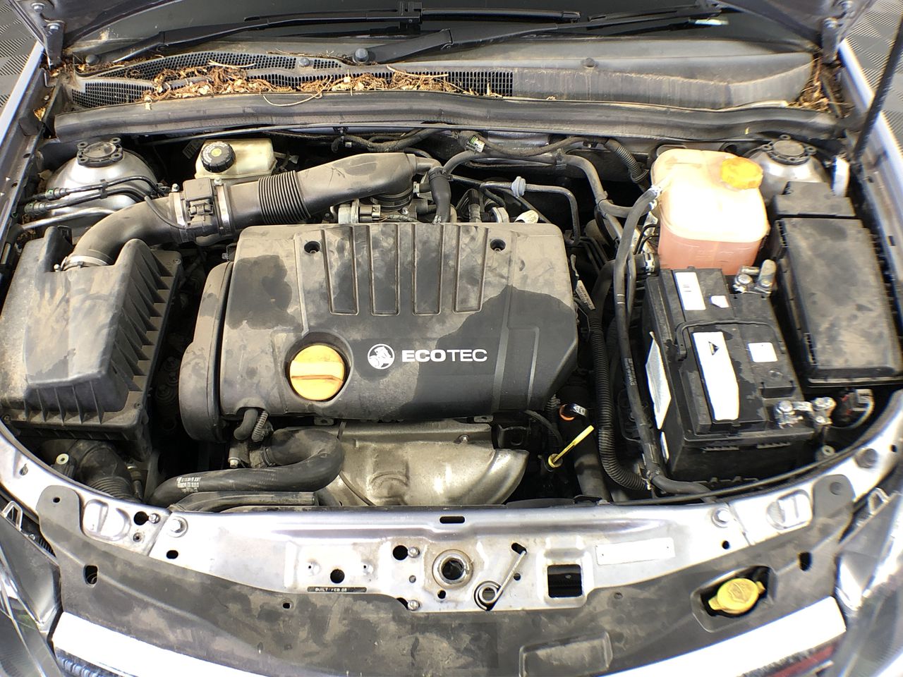 BRELAIN BRX03.01 Men's Watch