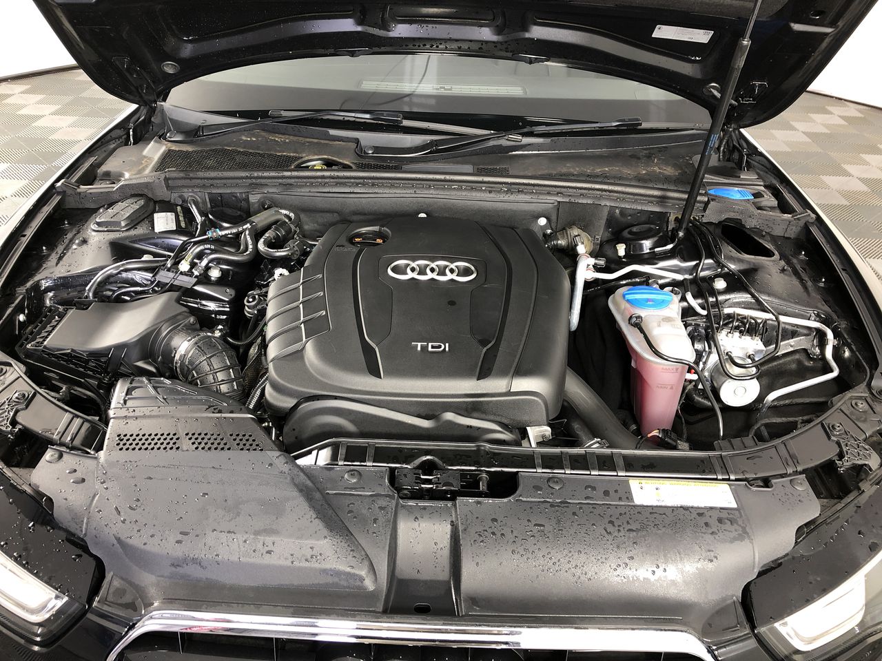 Roberts Estate Merlot 2024 (12x 750mL) SEA