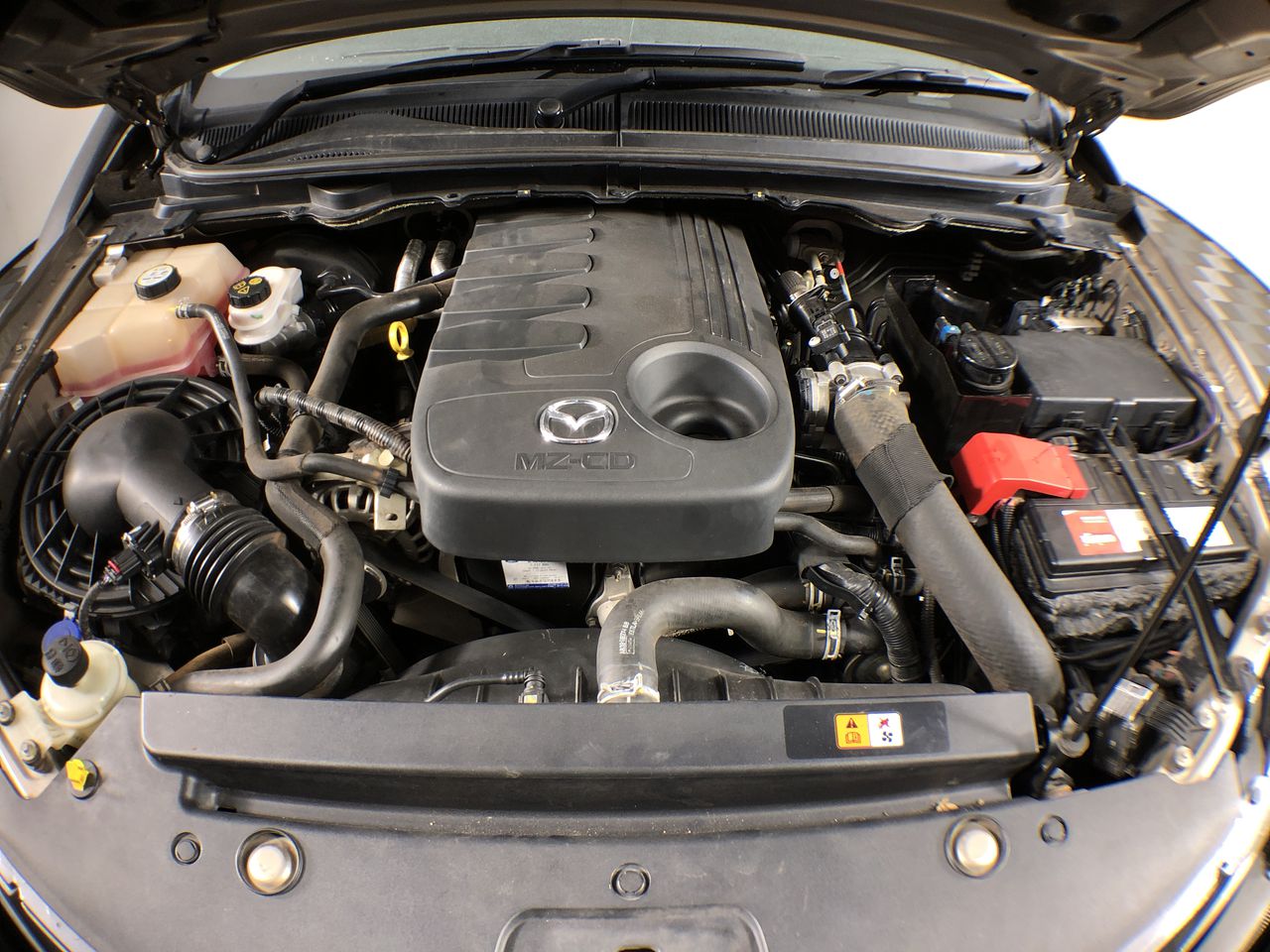 Stalking Horse Sauvignon Blanc 2024 (12x 750mL) Langhorne Creek, SA