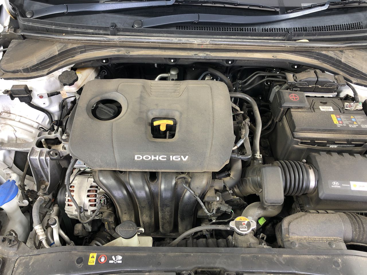 Fuzzy Bare Pinot Noir Piquette (6x 750mL) SA