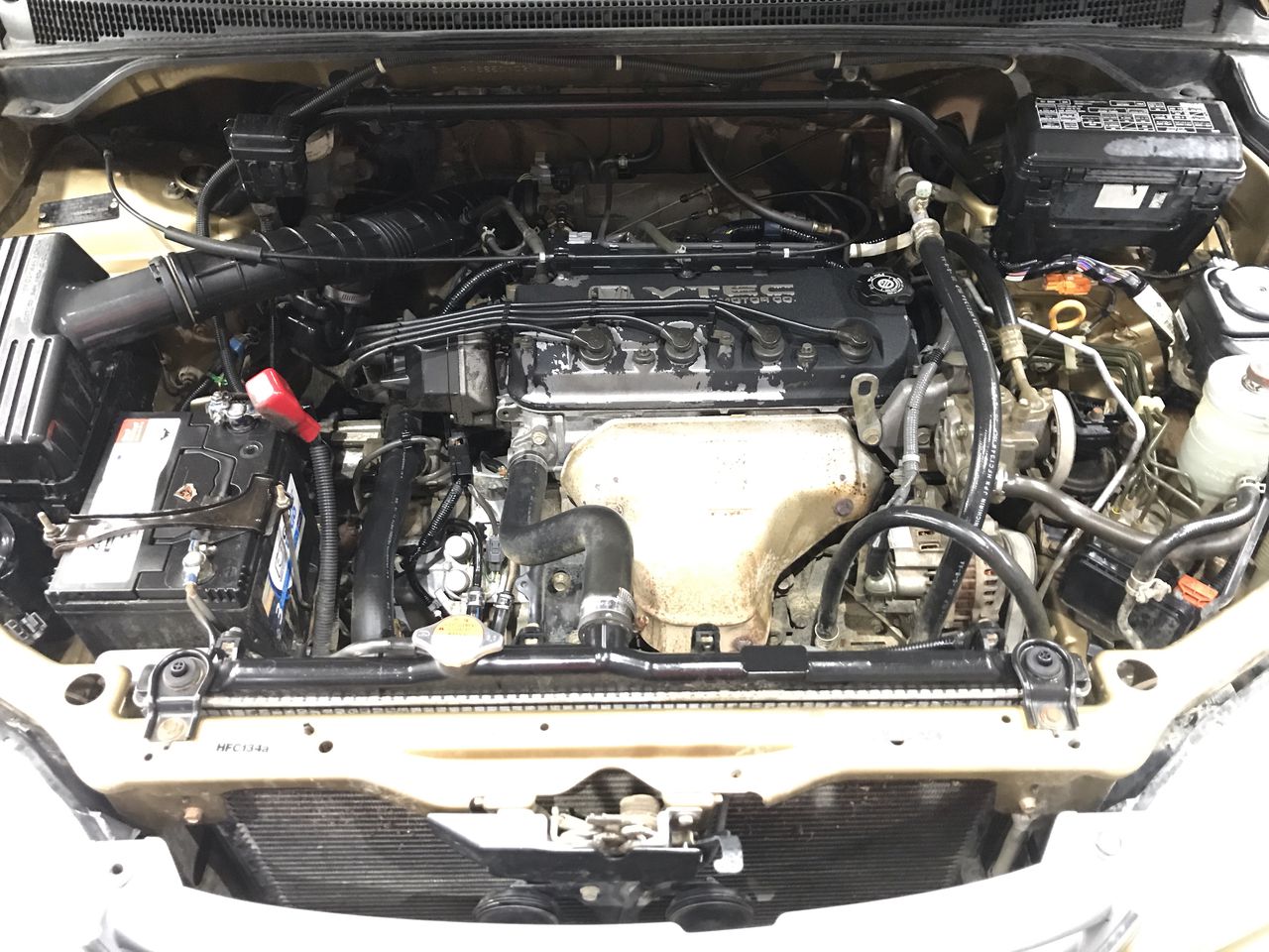 BIJ'OR-20 Inch, 18ct Yellow Gold Plated Anchor Chain Necklace,RRP $79