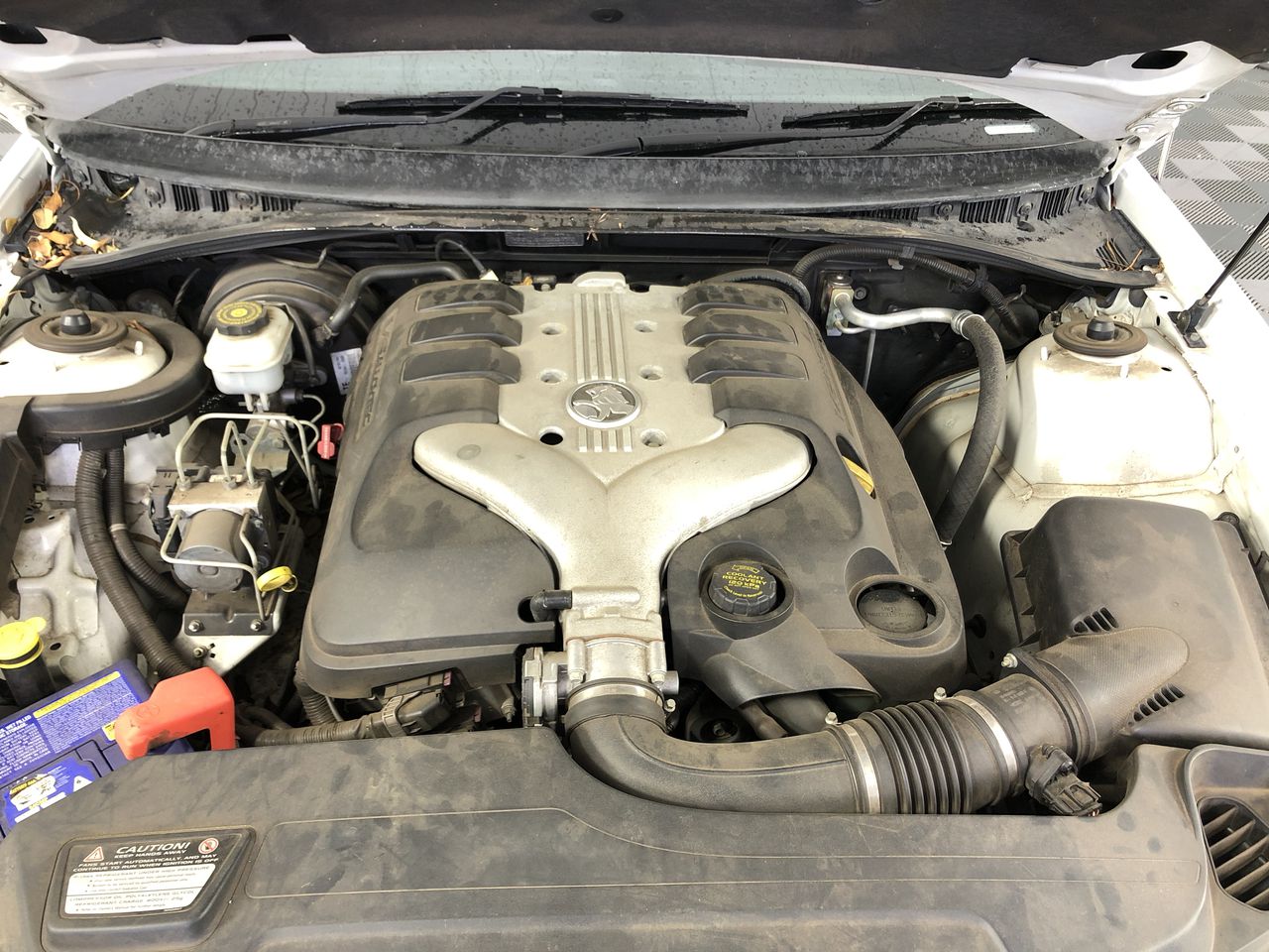 BIJ'OR-5.5" 925 Sterling Plated Saskia Link Child Bracelet w/ Clasp,RRP $30