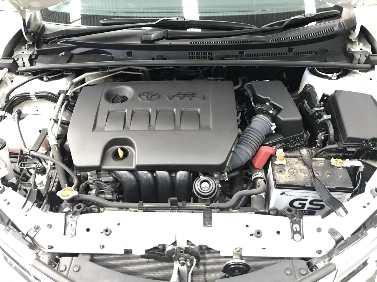 Casella Limited Release Cleanskin Shiraz 2013 (12x 750mL) Limstone Coast