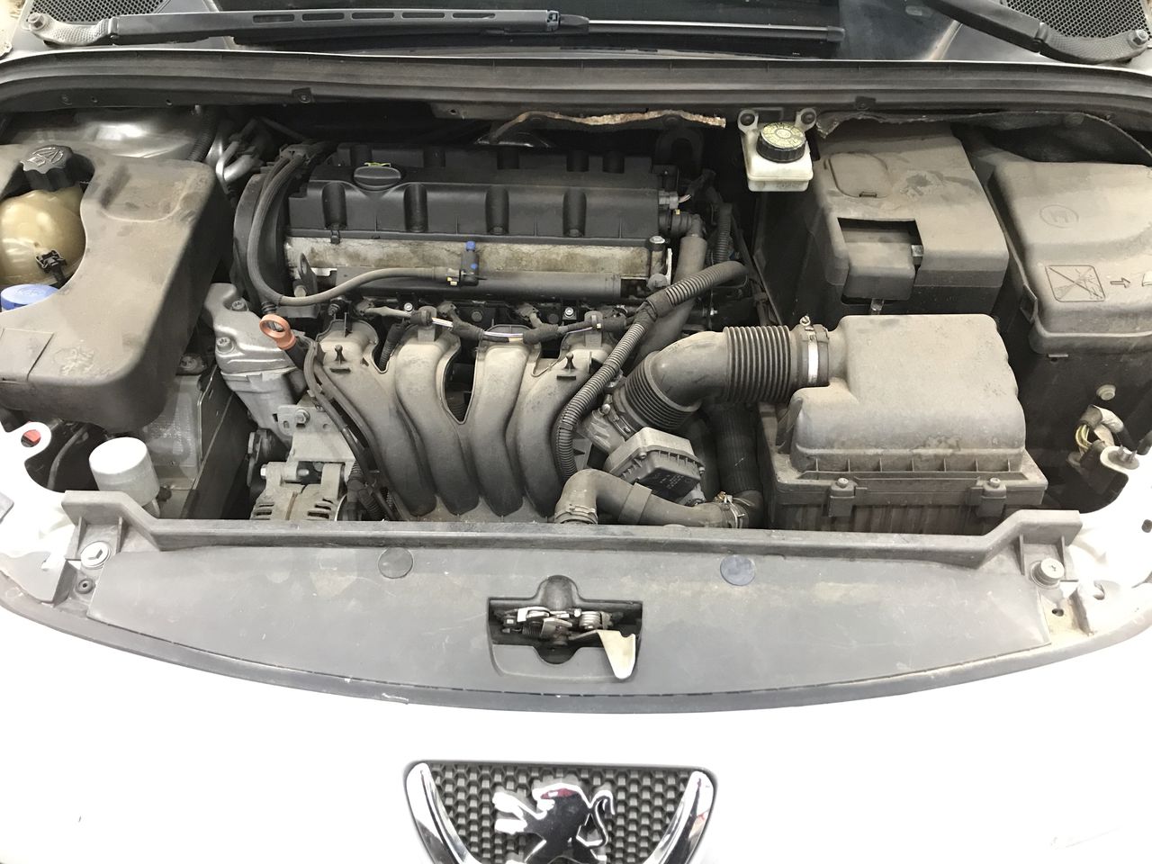 Peter Lehmann Cellar Archives Cabernet Sauvignon 2016 (12x 750mL), Barossa.