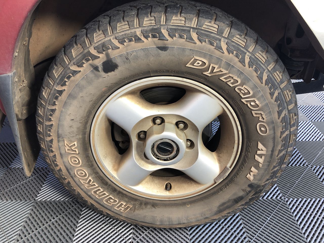 Wolf Blass Yellow Label Pinot Noir (6x 750mL). SA