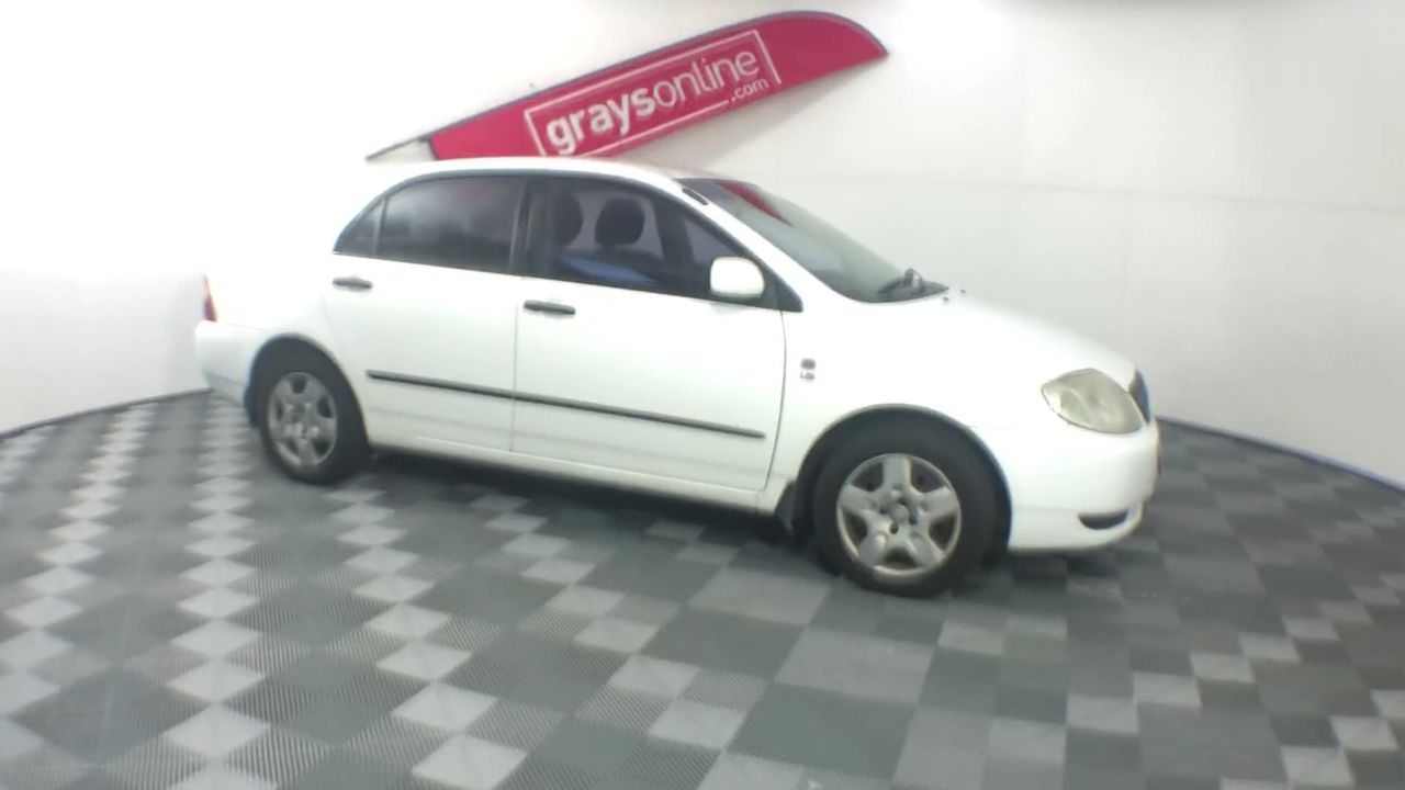 Casella Limited Release Cleanskin Shiraz 2013 (12x 750mL) Limstone Coast