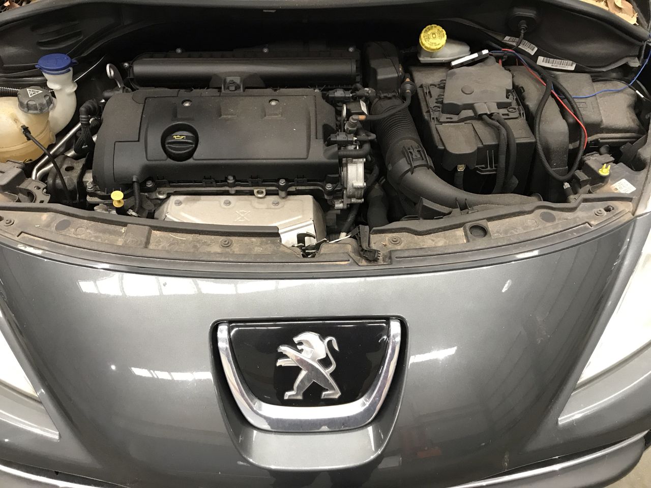 Dee Vine Estate Range Pinot Grigio 2025 (12x 750mL) NSW