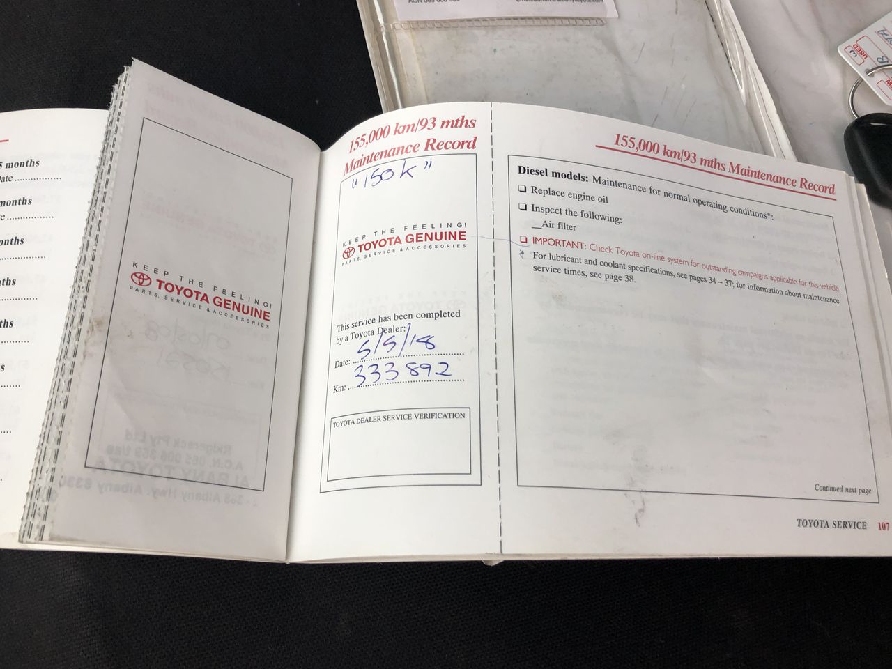 Designer Stainless Steel Feather Bracelet in Rose (adjustable)