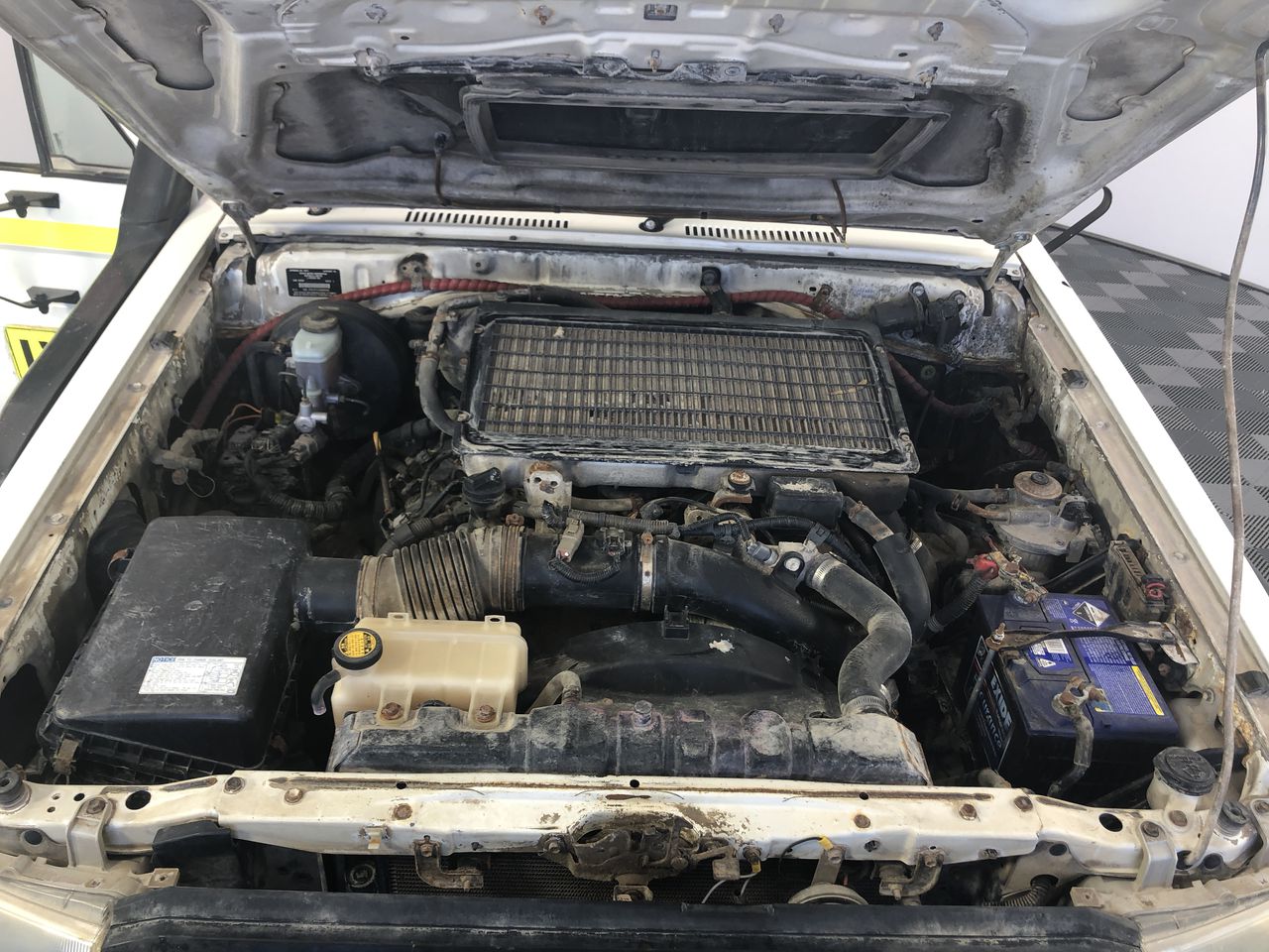 Stalking Horse Riesling 2024 (12x 750mL) Clare Valley, SA