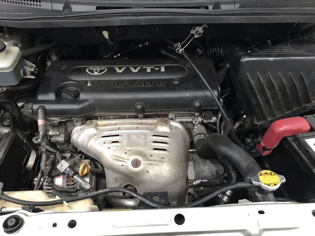 Stainless Steel Drop Pendant Necklace in Gold