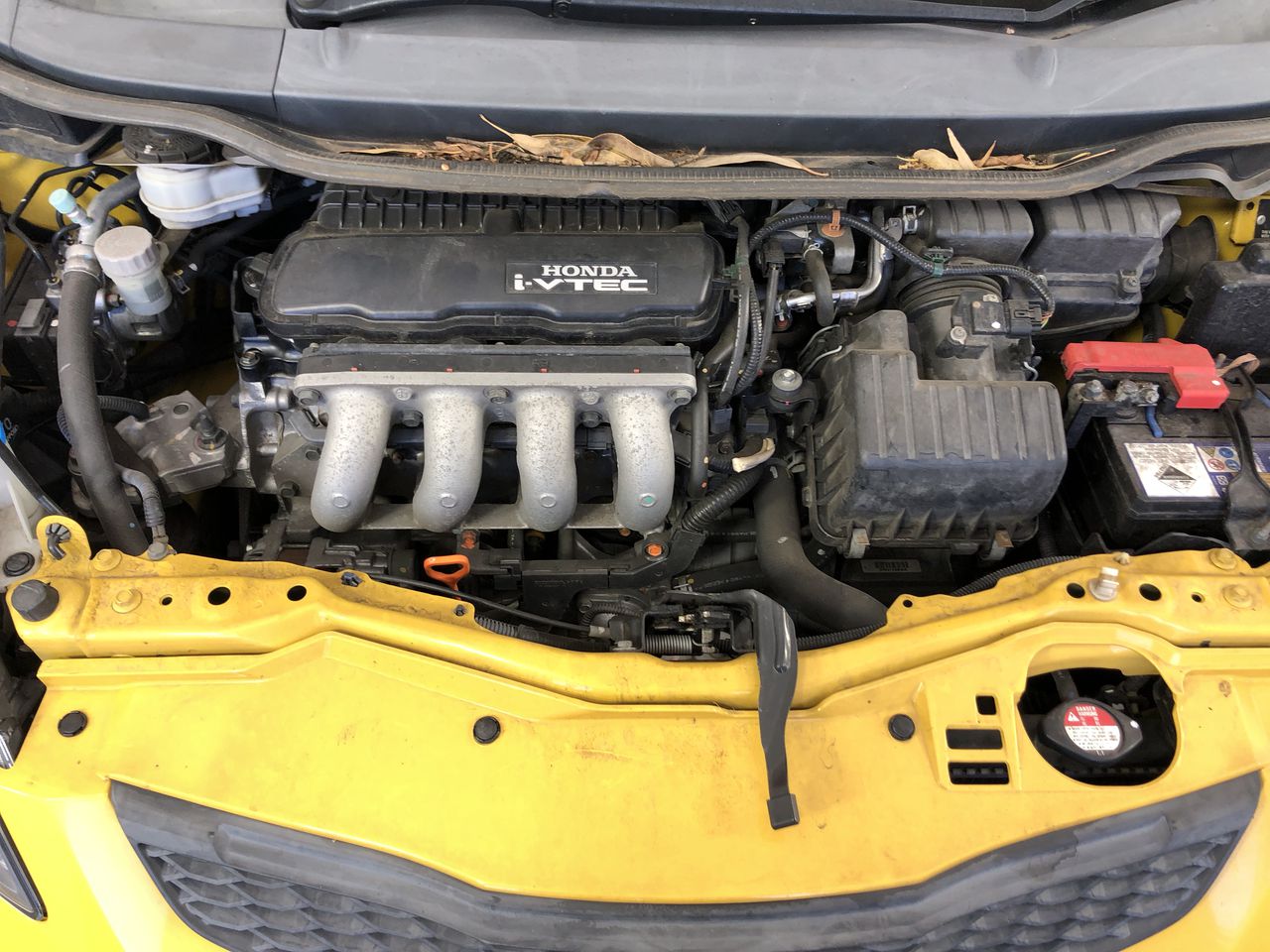 Stalking Horse Sauvignon Blanc 2025 (12x 750mL) Langhorne Creek, SA