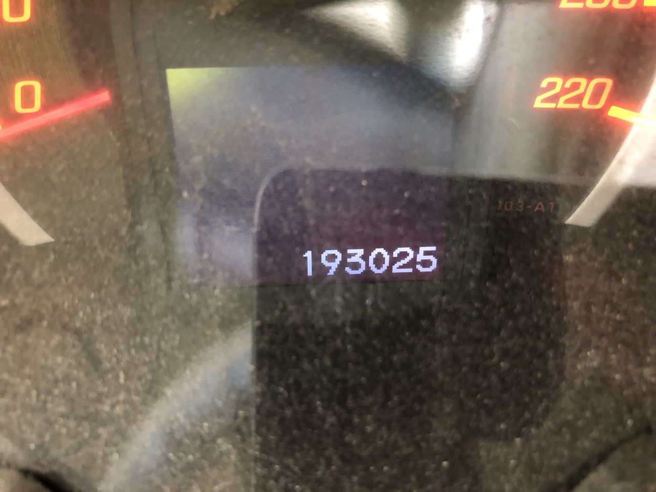 Stalking Horse Sauvignon Blanc 2025 (12x 750mL) Langhorne Creek, SA