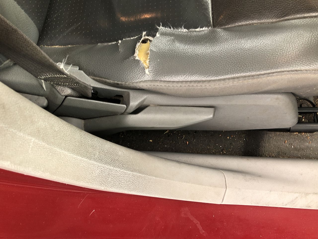 RICARDO Beverly Hills Mission Bay Luggage, Set 3 Piece, Large: 74cm, Medium