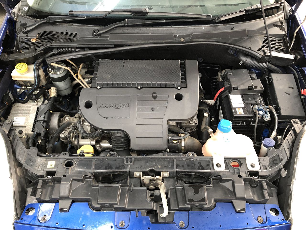 Next Crop Greco 2022 (12x 750mL) Langhorne Creek