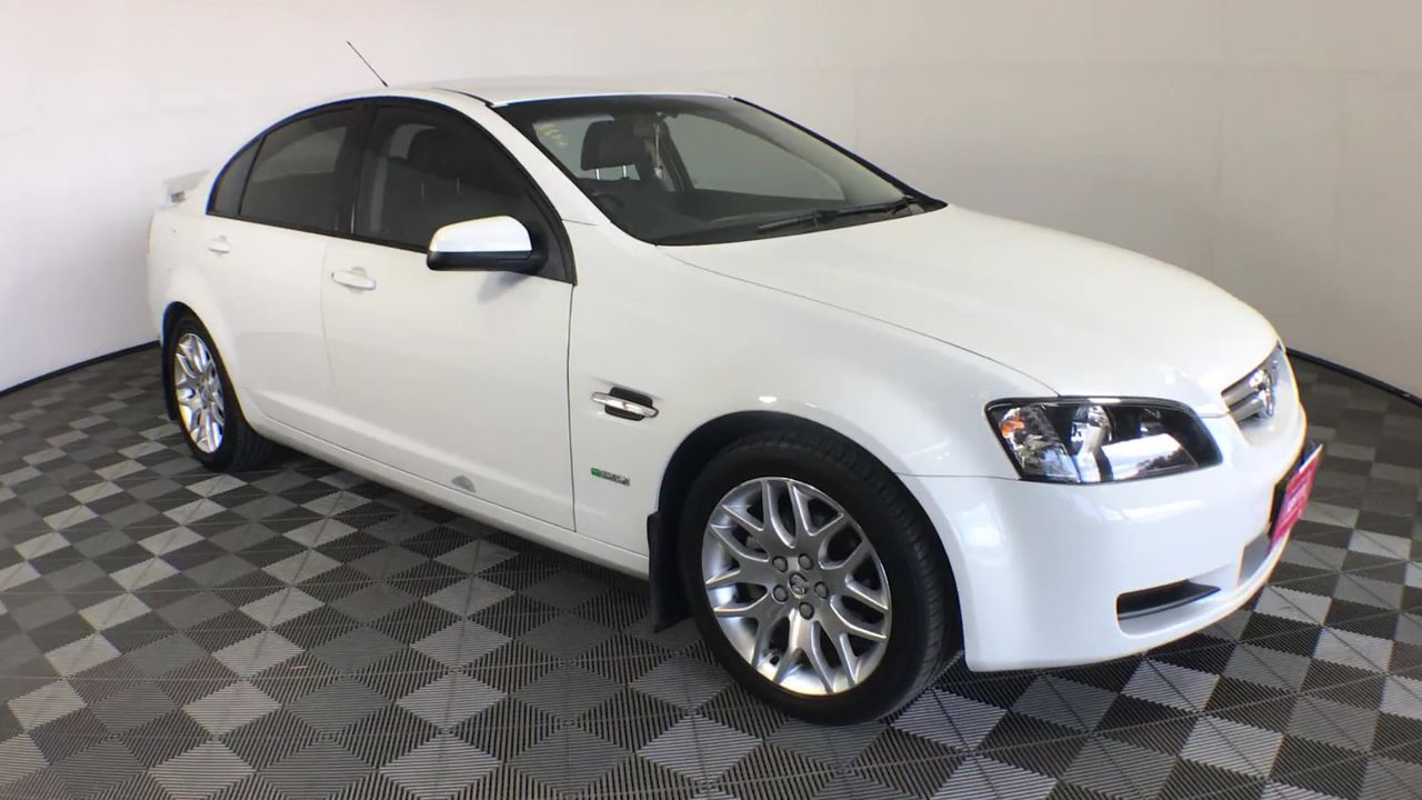 NEW!! LIMITED 2024 BLUEY DOLLARBUCK & BINGO $1 DOLLAR UNC Coin 2 CARD SET