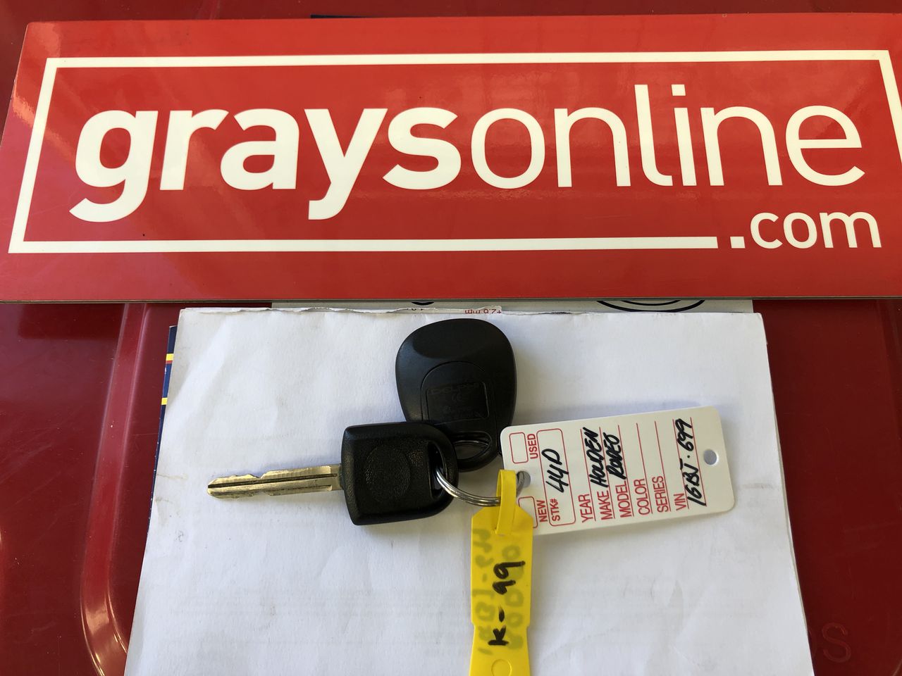 Indigenous  Canvas Painting