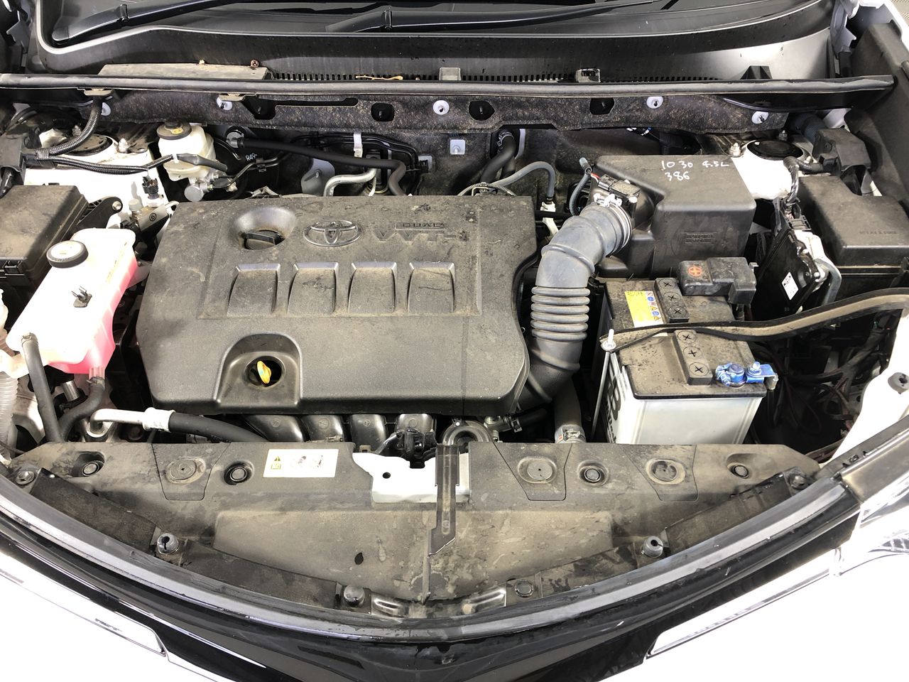 61.79 carat rectangular prasiolite is rare with valua: $1,186