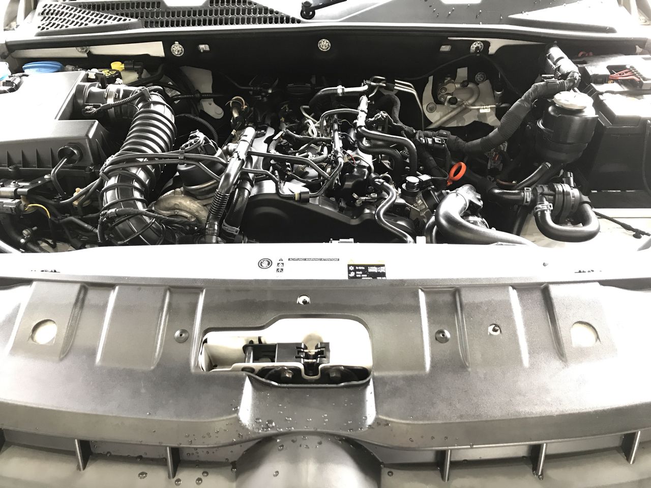 Elephant in the Room Chardonnay  (6x 750mL). (252626-1266)