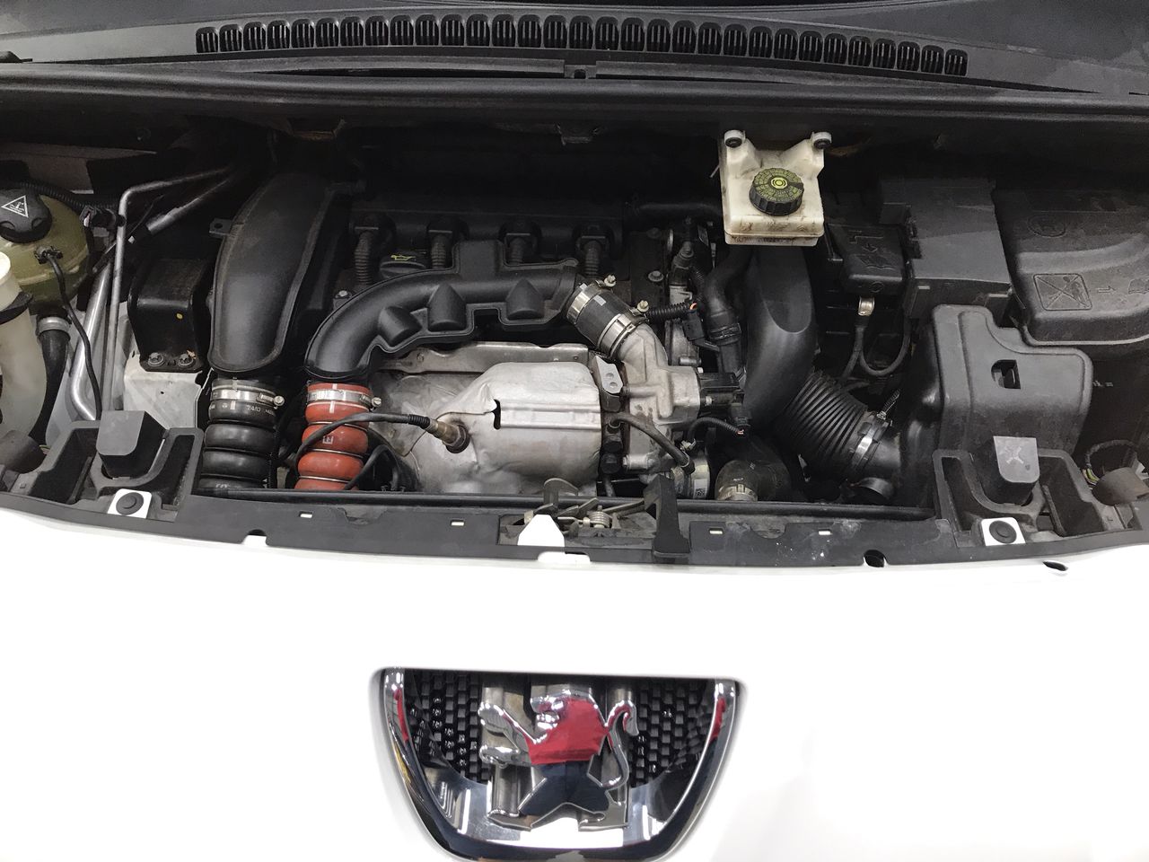 Fishbone Black Gewurtztraminer 2023 (6x 750mL) Margaret River