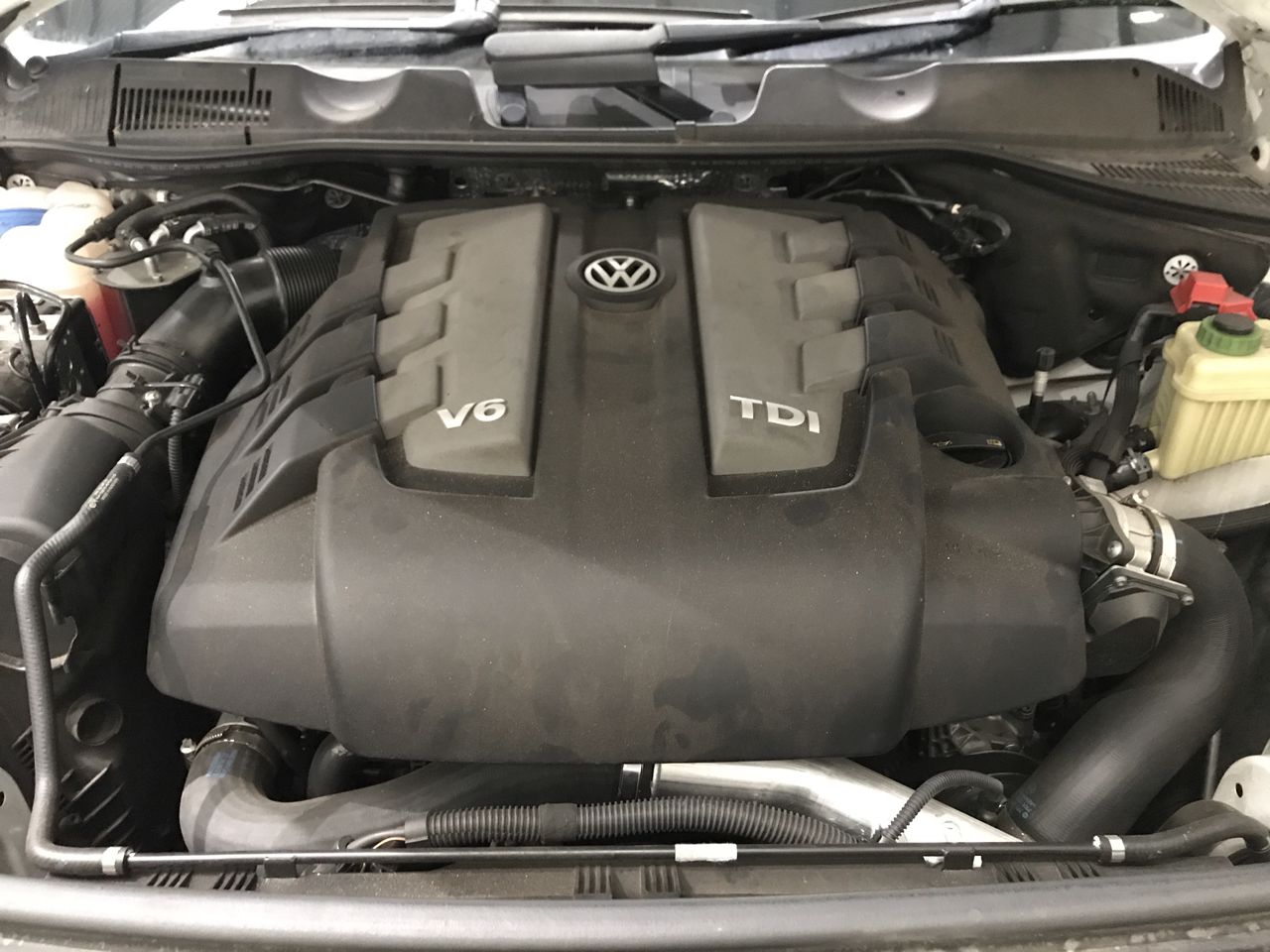 Bumblebee `Organic` Chardonnay 2023 (12x 750mL) SA 