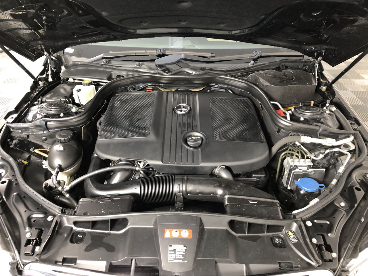 NEW!! LIMITED 2024 BLUEY DOLLARBUCK & BINGO $1 DOLLAR UNC Coin 2 CARD SET