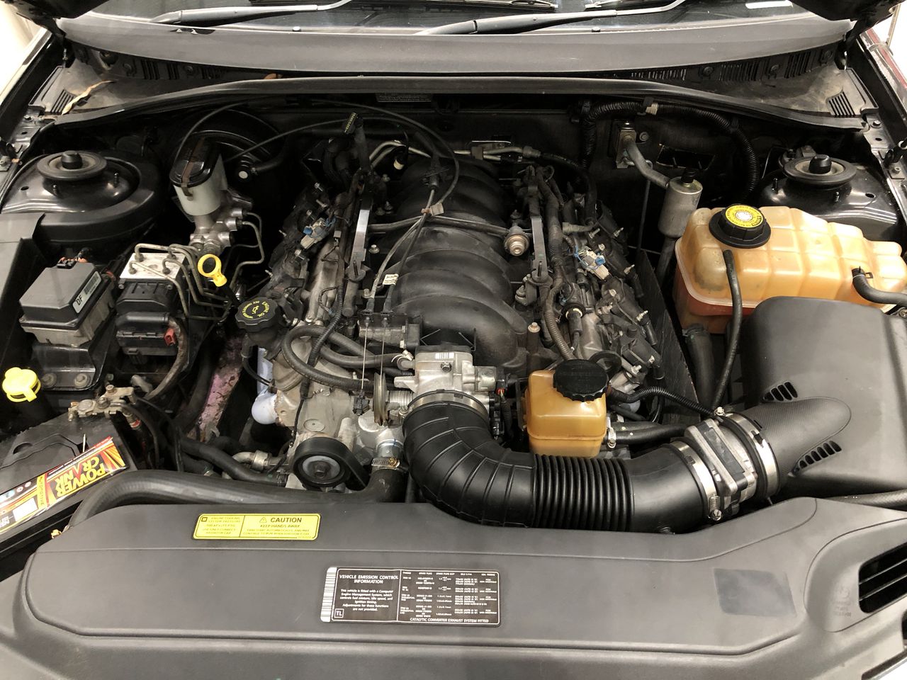 BIJ'OR - Genuine Multicoloured Freshwater Pearl Designer Cluster Dangle