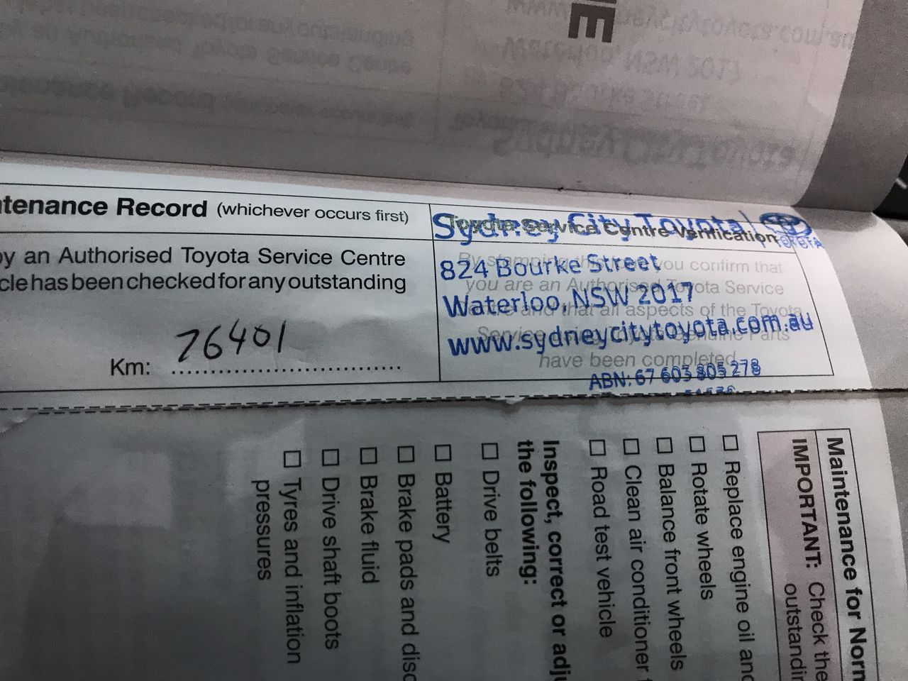 Classic Stainless Steel 3mm Curb Chain Bracelet - 9 Inches (Yellow)