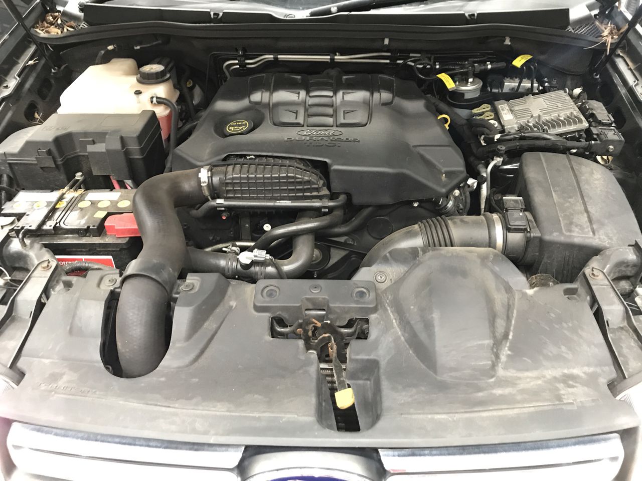 One Kilo of Australia KGV/King George VI/Queen Elizabeth Mix Date & Pennies