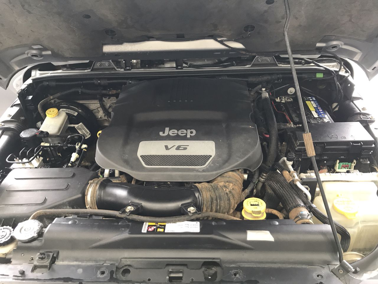 1/10 Oz 999.5 Silver Red Kangaroo & Joey 2025 AU Bullion Merchants Roundx4