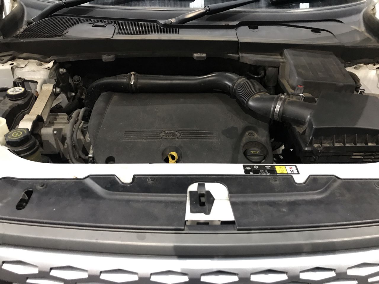 Timber Top Metal Frame Workbench